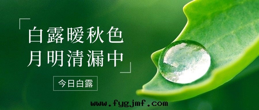 二(èr)十(shí)四(sì)节(jié)气—白(bái)露(lù)