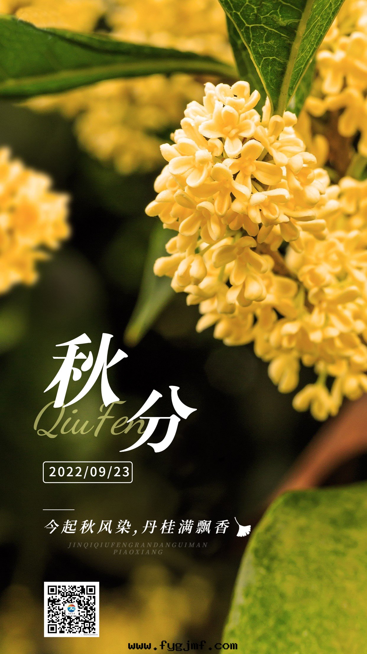 通(tòng)用(yòng)秋分(fēn)节(jié)气祝福實(shí)景手(shǒu)機(jī)海(hǎi)報