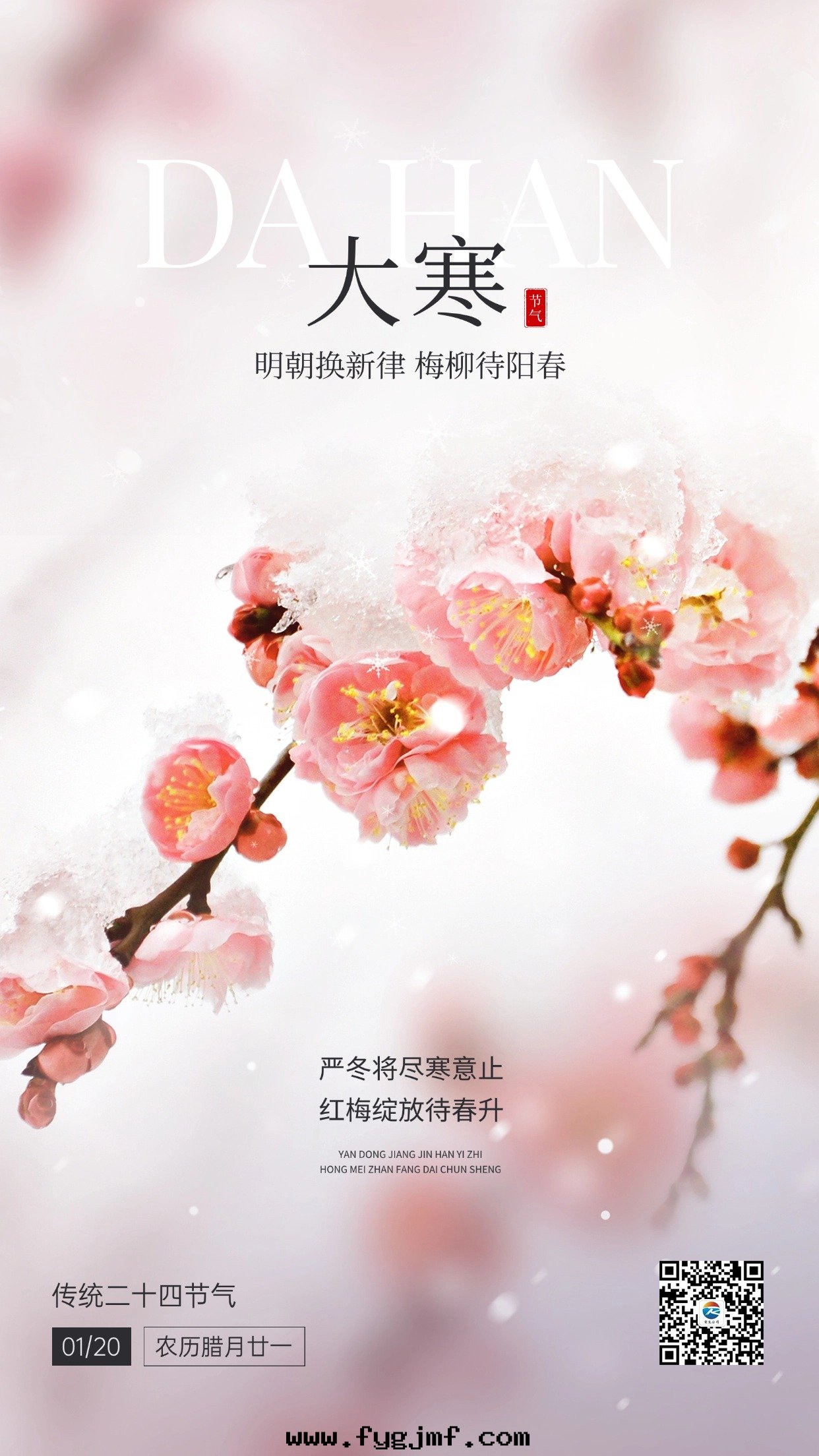 大(dà)寒金(jīn)融保險节(jié)气祝福實(shí)景风手(shǒu)機(jī)海(hǎi)報