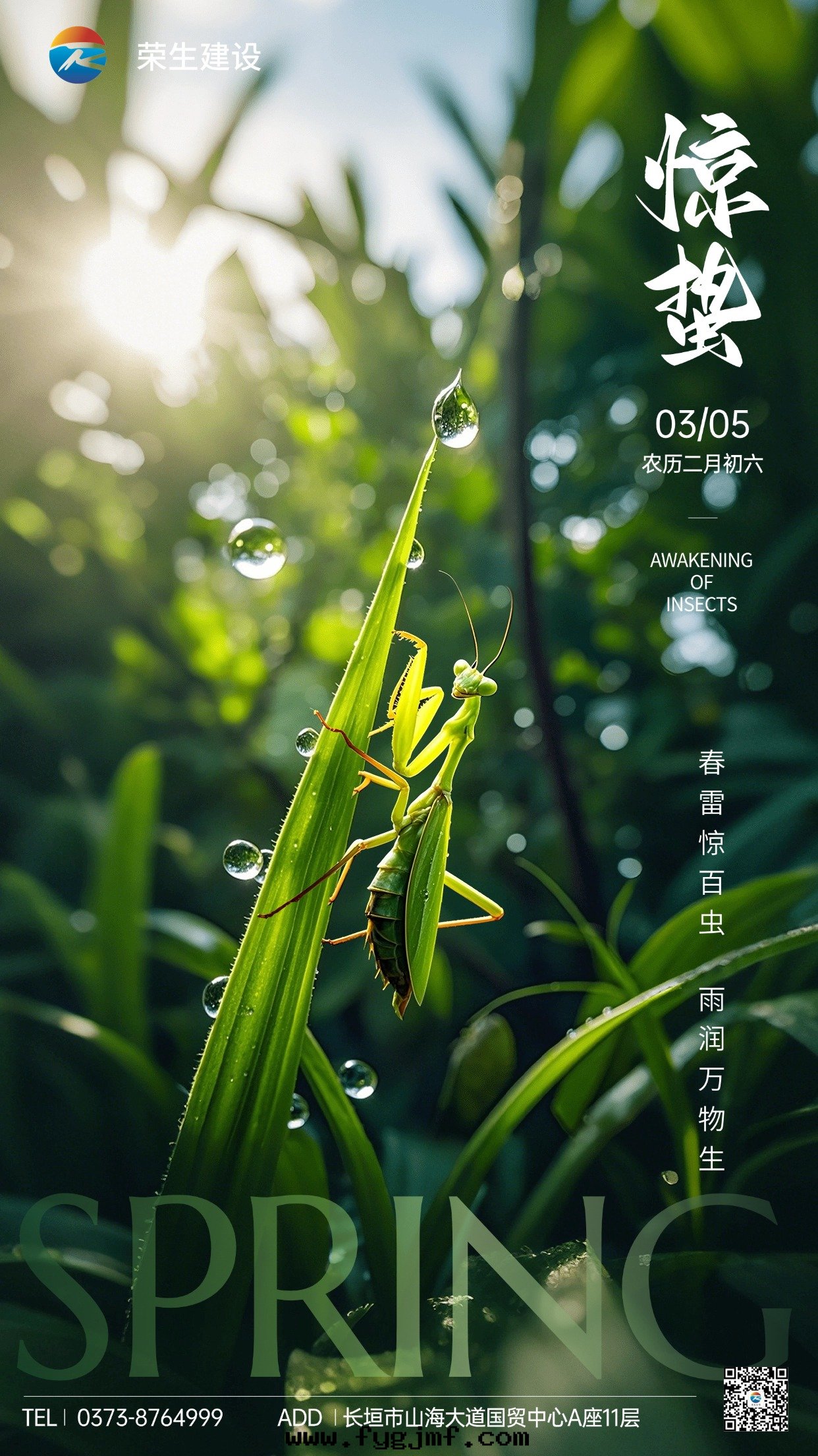 驚蛰綠(lǜ)色节(jié)气祝福手(shǒu)機(jī)海(hǎi)報AIGC